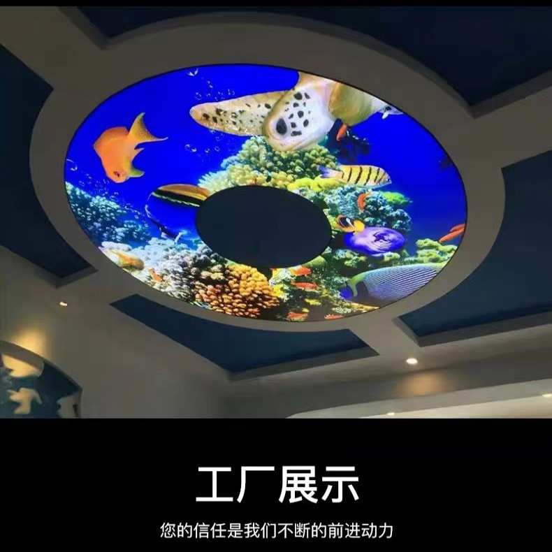 图5