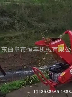 泰安木材边角料木屑粉碎机 干湿两用粉碎机 废木柴粉碎机
