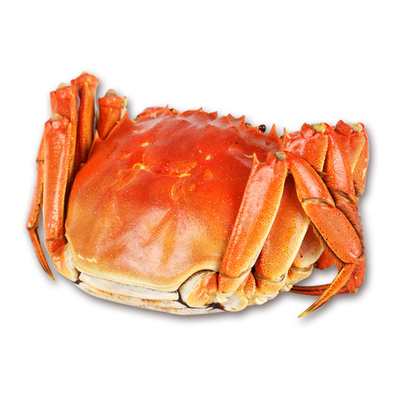 【净重3斤】鲜活大闸蟹特大号残蟹2斤公母可选现货固城湖断脚次蟹,淘宝优惠券,粉丝福利购,淘宝优惠卷