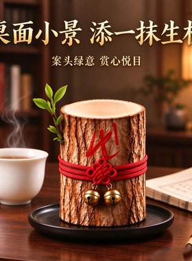 【雷击和生合贝才】能开花的香龙血树木绿植树木摆件