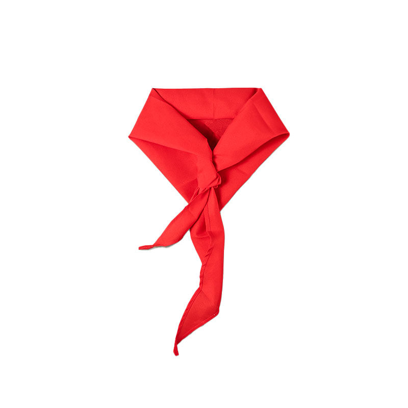 得力红领巾小学生通用纯棉打结1.2米通用标准正品大号薄红儿童1-3年级通用纯色开学季儿童礼物正品,淘宝优惠券,粉丝福利购,淘宝优惠卷