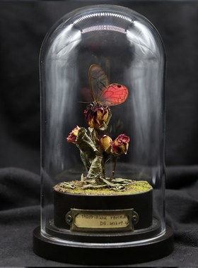 【玫瑰】玫瑰水晶眼蝶蝴蝶标本微景观玻璃罩摆件收藏品女生礼物