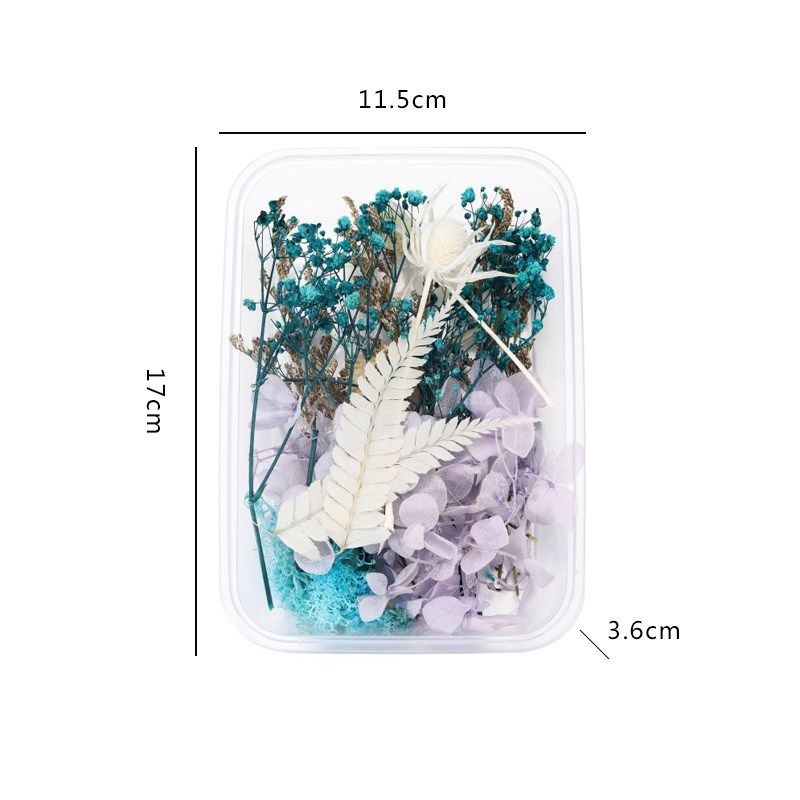 永生干花DIY混装材料包相框摆件真花团扇天然花材团建母亲节礼物