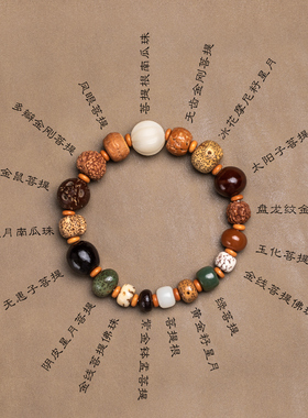 极速十八子多宝手串18籽手链y金刚菩提念珠星月无患子凤眼菩提手