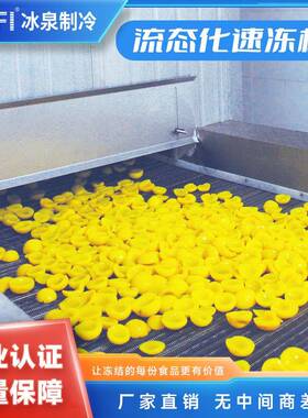 高效节能流态化速冻机工业级快速冷冻设备商用大容量冷冻机