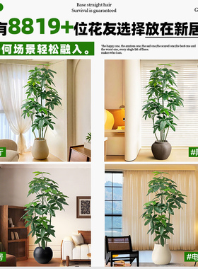 假绿植装饰仿真发财树室内盆栽大型落地摆件客厅轻奢仿生植物造景