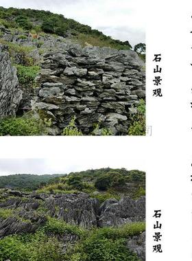 假山石头自己做假山石鱼池庭院鱼缸石材天然英德石青龙石阳台假山