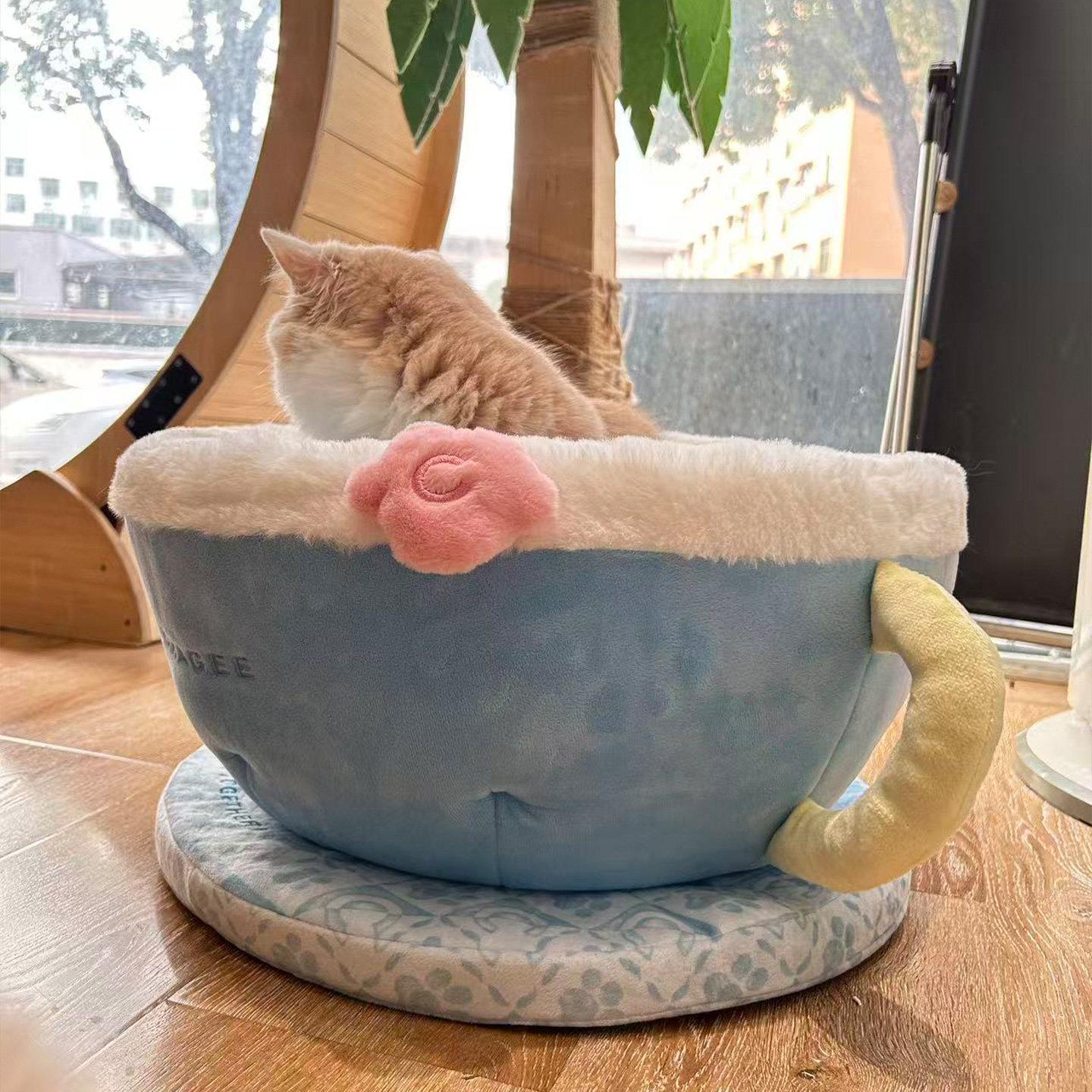 霸王茶姬猫窝限定周边毛绒茶杯萌宠窝zeze联名猫窝四季通用猫别墅,淘宝优惠券,粉丝福利购,淘宝优惠卷