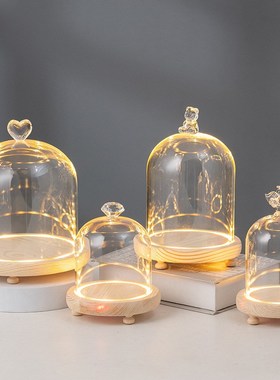 蝴蝶标本永生花diy材料玻璃罩实木干花保存瓶发光香薰摆件防尘罩