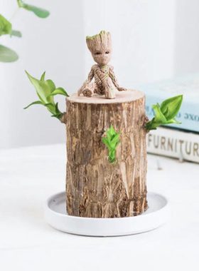 巴西木格鲁特创意办公桌面装饰绿植盆栽电脑桌办公室小摆件治愈系