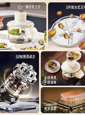 全自动果蔬去皮机家用商多