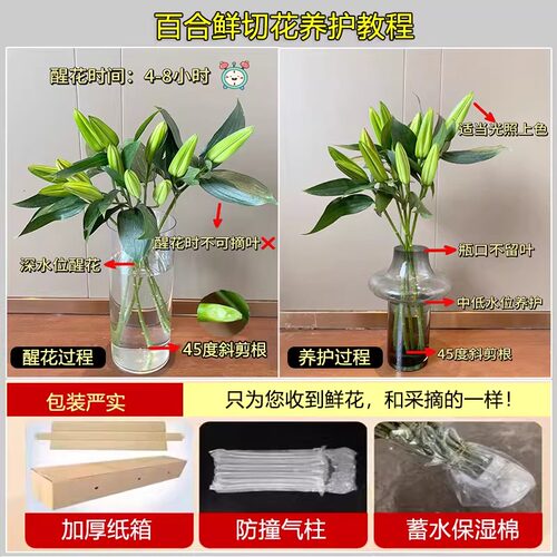 白百合香水百合花鲜花云南基地直发香水百合鲜花家用插花鲜切花束 - 图3