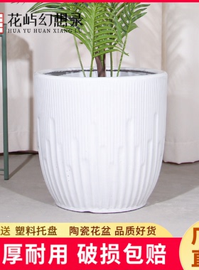 陶瓷大花盆白色高端简约百搭家用客厅落地兰花虎皮兰天堂鸟大绿植