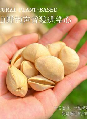 天然果壳风铃diy材料包天然果壳摇铃水铃桐黑果挂件风铃挂饰摇铃