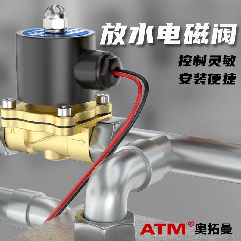 2W常闭进水24V电磁阀220V铜开关阀2分4分6分1寸放水控制阀12V水阀 - 图0