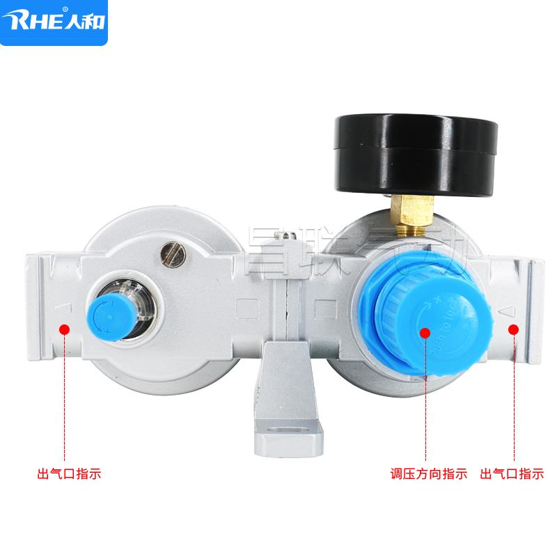 RHE人和气源处理器空气过滤器SFR/SL200油水分离器SFC200/300/400 - 图2