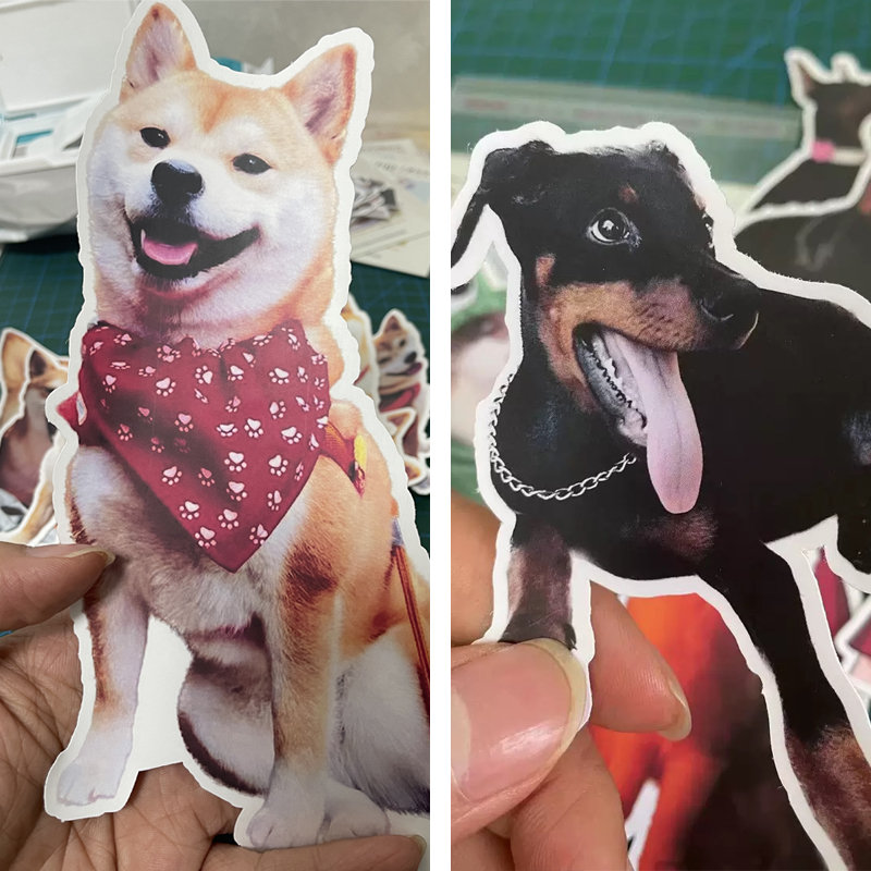 DIY 狗狗 猫咪 贴画装饰y个性定制 爱犬防水宠物行李箱贴纸定制 - 图1