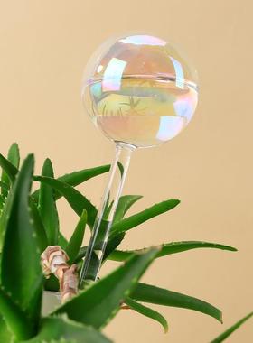圆球浇花器玻璃 懒人自动渗水滴水浇灌滴灌浇水 玻璃浇花器