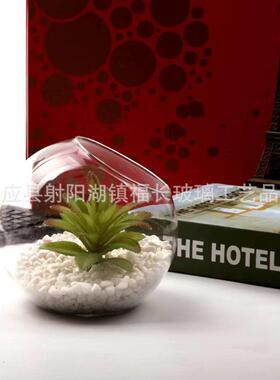 福长供应 微景观旁口球 创意简约生态多肉植物微景观玻璃斜口