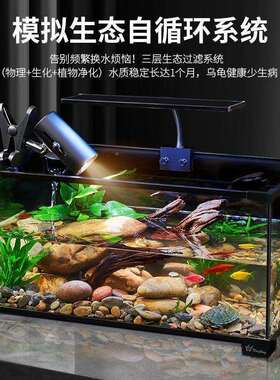 乌龟缸高清玻璃生态造景鱼一混缸养生态厂家直供体缸客厅专用家用