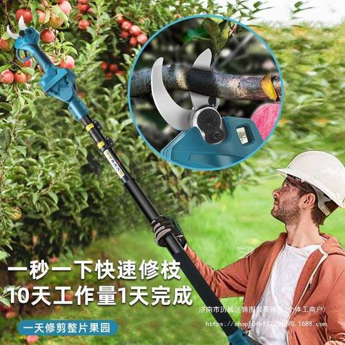 电动剪刀果树充电式修枝剪锂电无线加长高枝剪德国进口剪树枝 - 图1