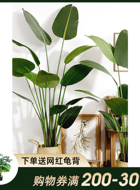 仿生仿真绿植大型盆栽摆件植物客厅北欧旅人蕉散尾葵假树网红装饰