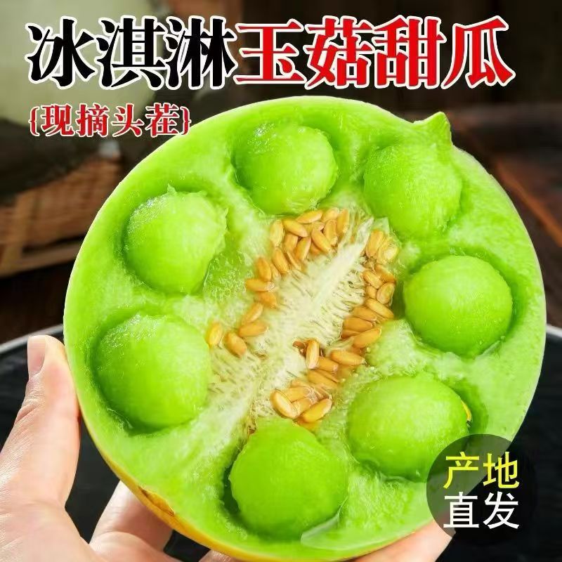 海南玉菇甜瓜蜜瓜正宗新鲜水果应季现摘当季冰淇淋香瓜甜瓜整箱