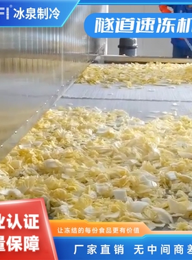 速冻水产海鲜大产量瞬间冻结就选广州冰泉大型隧道速冻设备