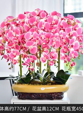 仿真花大蝴蝶兰摆件盆景盆栽居家办公室桌花装饰仿真花卉绿植