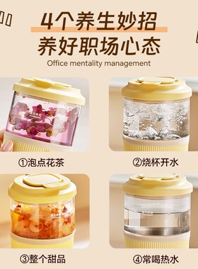 斗禾迷你电热养生杯 带保温功能0.5L煮茶器 高硼硅玻璃壶