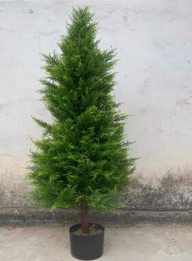 绿植盆栽仿真柏树松树假树室内装饰真植物圣诞树北欧家居摆件假花