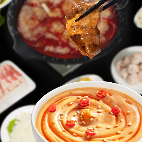 海底捞火锅蘸料家用四川麻辣烫蘸料冒菜串串香调味料火锅料调料 - 图1