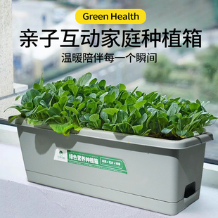 作物奇遇记花果拍档蔬菜种植箱