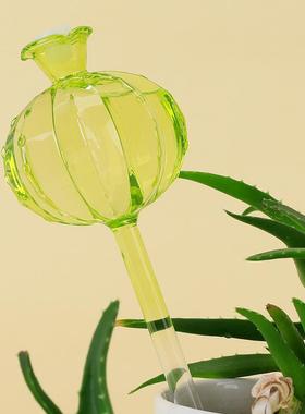仙人球浇花器玻璃 自动懒人滴水浇灌浇水滴灌 玻璃浇花器