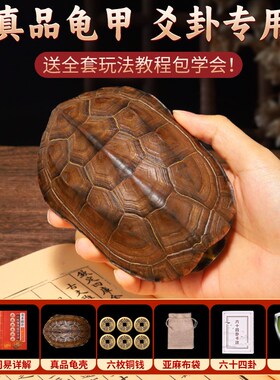 天然乌龟壳文玩六爻摇卦工具真龟甲乾隆J铜钱六十四卜算卦用品摆