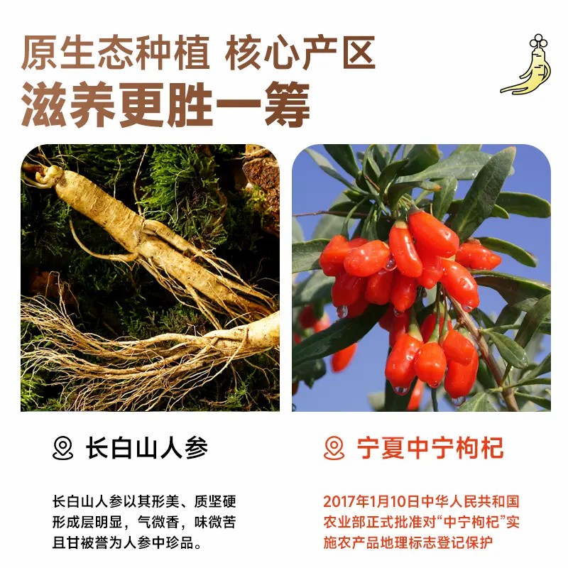 【邮政农品】参杞原浆宁夏中宁枸杞长白山鲜参鲜榨原汁滋补身体好