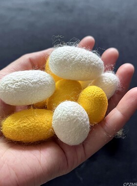 可抽丝蚕茧天然蚕茧蚕丝扇材料