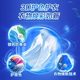 Libai Ocean Royale Laundry Detergent Small Bottle Travel Clothing Authentic Long-lasting fragrance and stain removal without skewers Official flagship store