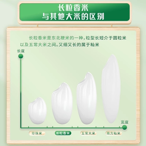 2025新米十月稻田长粒香大米5kg*4东北大米粳米真空40斤囤货家用