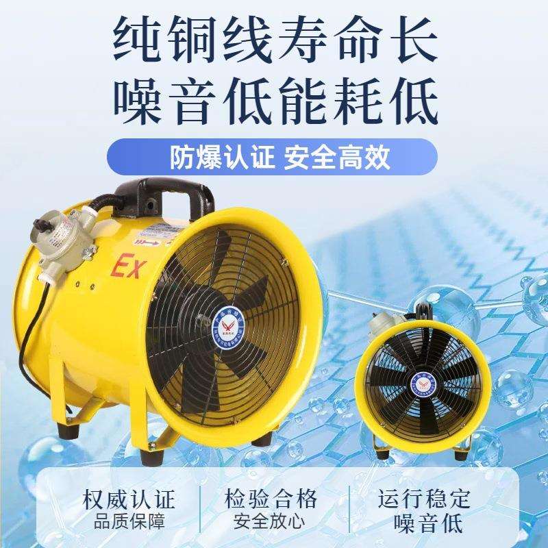 CTF移动手提式防爆轴流风机 BSft-300mm110V便携式船用通风机 - 图1
