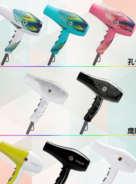 火之凤吹风机8960火凤凰专业大功率理髲店廊吹风机筒正品家用冷热
