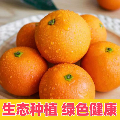 湖北长阳纽荷尔脐橙现摘鲜橙9斤装大果应季水果新鲜甜橙手剥橙子 - 图3