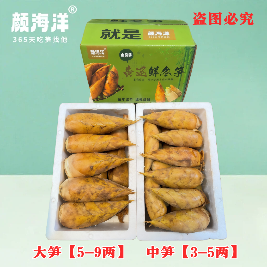 临安发货新鲜冬笋大竹笋鲜笋蔬菜野生冬笋新鲜现挖5斤鲜竹笋 - 图3