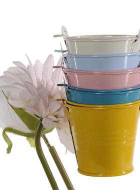 厂家直供创意多肉盆栽家居糖果工艺摆件小铁桶马口铁迷你小桶