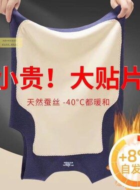 双面德绒男士无痕贴片保暖背心加绒加厚内衣护肚护背打底马甲秋冬