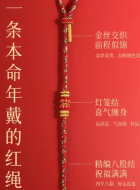 手工编织手绳微雕投影手绳十二生肖本命年红绳男女款情侣手链