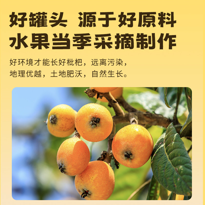 宝峰鲜果枇杷膏糖水商用水果567g克罐头无添加剂大罐琵琶无添加