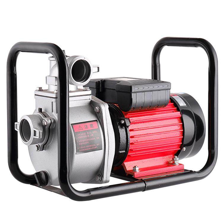 汽奥诚FIP电抽油泵12V24V220伏自吸大功率油泵1动2寸3寸导油寸泵 - 图2