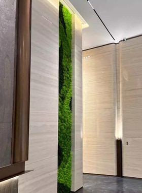 高端永生苔藓背景墙面青苔装饰室内办公室餐厅会所前台绿化植物墙