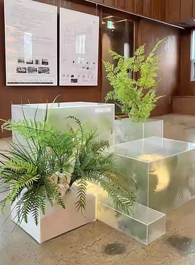 定制磨砂亚克力仿真绿植酒店摆件